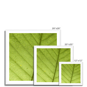Leaf fractal