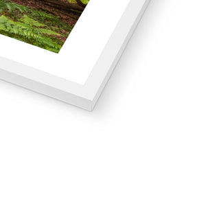 Green forest landscape