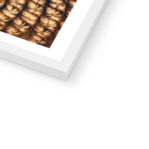 Sun Flower seed pattern