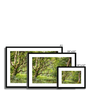 Green forest landscape