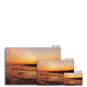 Low tide sunset