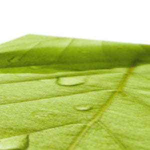 Leaf droplets 5