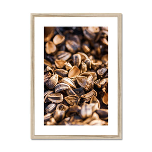 Sun Flower seeds shells 3