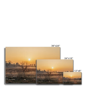Sun reeds