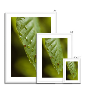 Leaf droplets 3