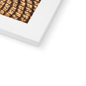 Sun Flower seed pattern