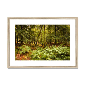 Fern view
