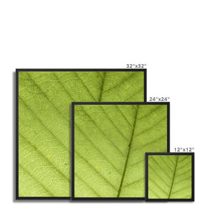 Leaf fractal
