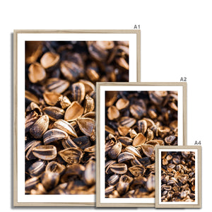 Sun Flower seeds shells 3