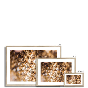 Sun Flower seeds 3