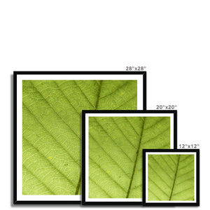Leaf fractal