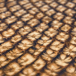 Sun Flower seed pattern