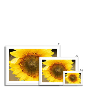 Sun Flower 2
