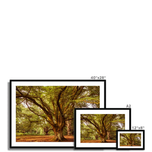 3 Beeches