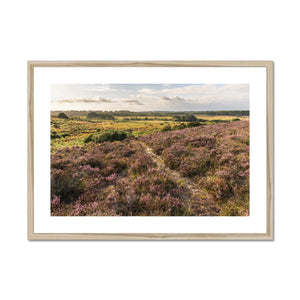 Holm Hill Heather