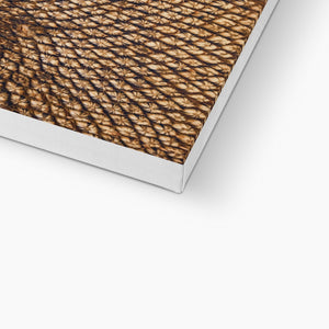 Sun Flower seed pattern