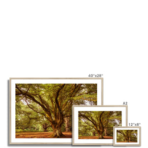3 Beeches