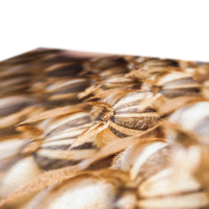 Sun Flower seeds 3