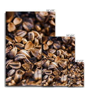 Sun Flower seeds shells 3