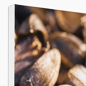 Sun Flower seeds shells