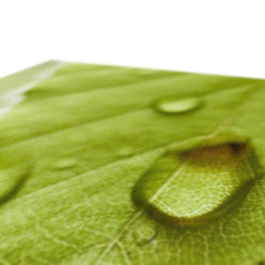 Leaf droplets 4