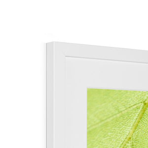 Leaf droplets 5