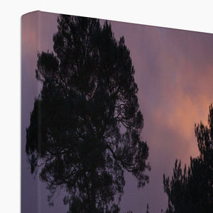 Sunset silhouette