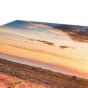 Heather Sunset