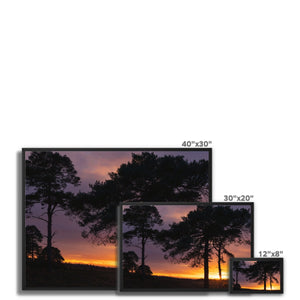 Sunset silhouette