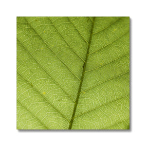 Leaf fractal