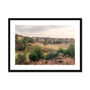 Autumn forest landscape