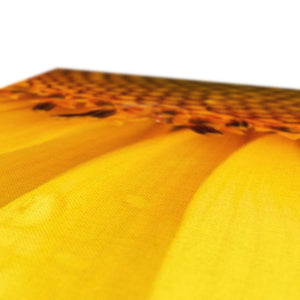 Sun Flower 4