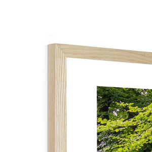 Green forest landscape