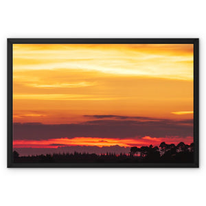 Forest Sunset