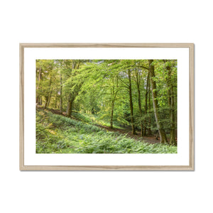 Springtime valley