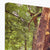 Forest  23 Canvas