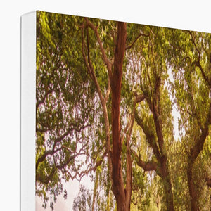 Forest 4 Canvas