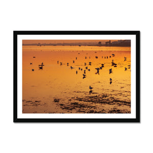 Sunset 6 Framed Print