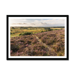 Holm Hill Framed Print