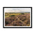 Holm Hill Framed Print