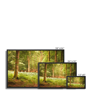 Forest 13 Framed Canvas