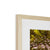 Forest 4 Framed & Mounted Print