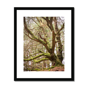 Acres gardian 2 Framed & Mounted Print