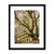 Acres gardian 2 Framed & Mounted Print