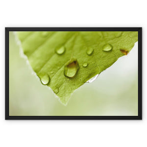 Leaf Macro 2 Framed Canvas