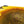 Sun Flower 2