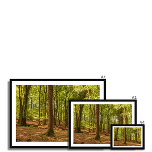 Forest 21 Framed Print