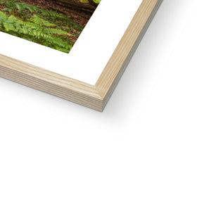 Green forest landscape