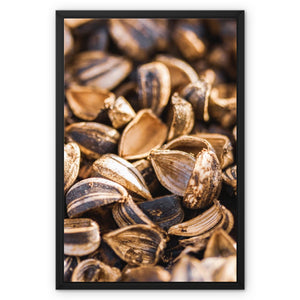 Sun Flower seeds 1 Framed Canvas