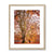 Forest 24 Framed & Mounted Print